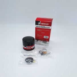 Kit Συντηρησης 100 Ωρων 3.0L Carb Engines