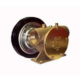 Αντλία Jabsco 50200 Series 2A - 12V